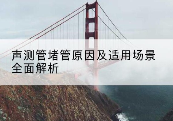 武山声测管堵管的主要原因有哪些？-声测管堵管原因及适用场景全面解析